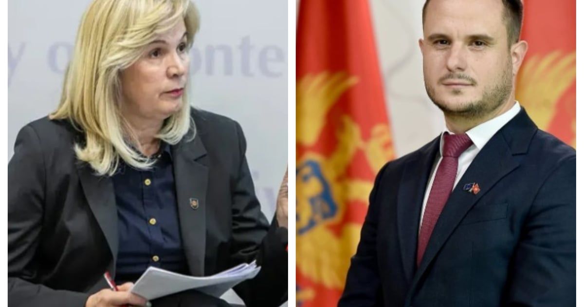 Đurović: Proces integracija se ubrzava; Zenović: Pred Savjetom EU sedam poglavlja