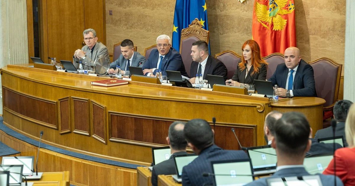 Milanović i Asanović izabrani za članove Savjeta RTCG
