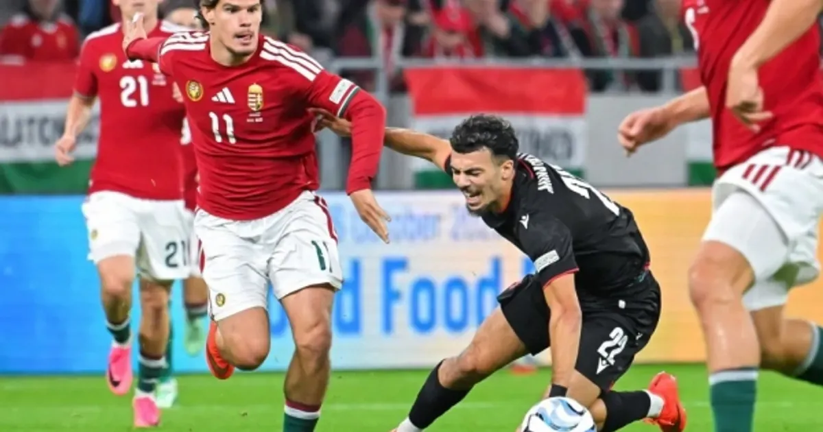 UEFA kaznila BiH, Hrvatsku i Mađarsku