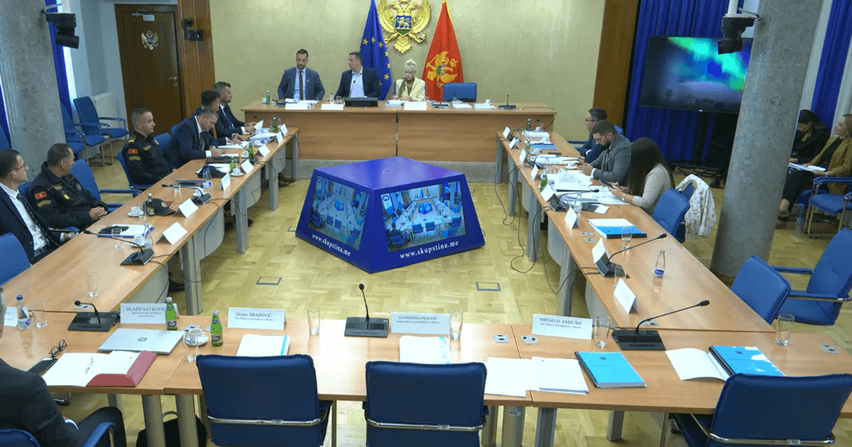 Majbah, „krtice“ i kriminalne mreže: Šćepanović i Zirojević