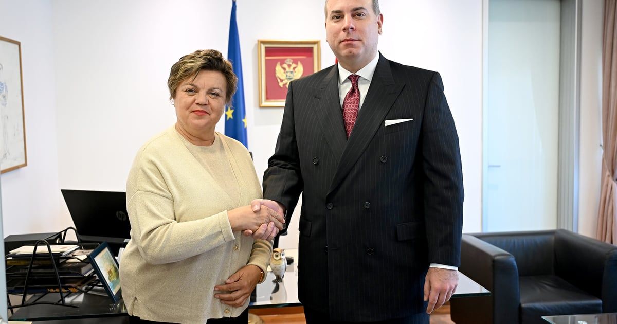 Ivanović primio Hrebičkovu u oproštajnu posjetu: Crna Gora i