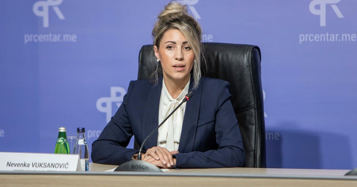 Crnogorski resursi za tuđe izbore - Vuksanović: Institucije