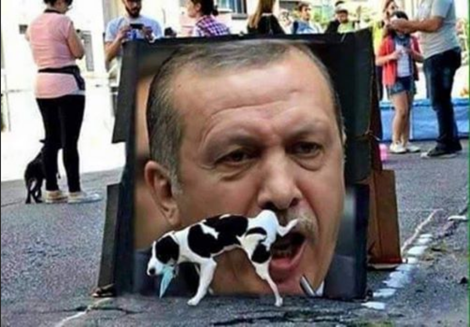 Türk köpeği